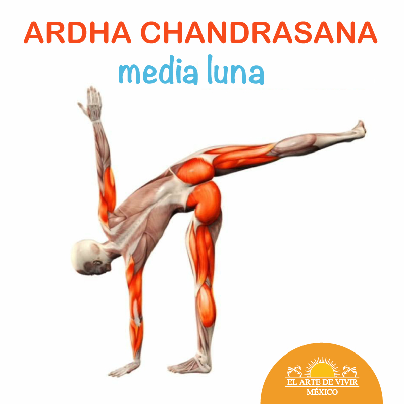 Yoga: Ardha Chandrasana